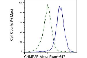 Validation of CHMP2B knockdown using flow cytometry. (Recombinant CHMP2B 抗体)