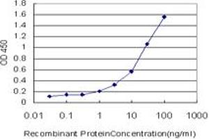 Detection limit for recombinant GST tagged APLN is approximately 0. (Apelin 抗体  (AA 1-122))