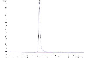 Size-exclusion chromatography-High Pressure Liquid Chromatography (SEC-HPLC) image for Carcinoembryonic Antigen-Related Cell Adhesion Molecule 6 (CEACAM6) (AA 35-320) protein (His-Avi Tag,Biotin) (ABIN7274030)