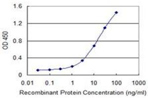 Detection limit for recombinant GST tagged HSD17B12 is 0. (HSD17B12 抗体  (AA 203-271))