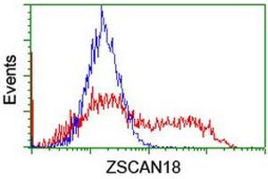Image no. 2 for anti-Zinc Finger and SCAN Domain Containing 18 (ZSCAN18) antibody (ABIN1501856) (ZSCAN18 抗体)