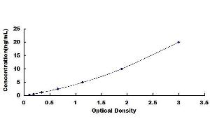 Typical standard curve (RAB5 ELISA 试剂盒)