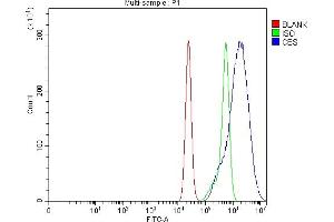 Flow Cytometry analysis of CACO-2 cells using anti-CBS antibody (ABIN7599637).