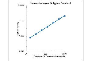 ELISA image for Granzyme K (Granzyme 3, Tryptase II) (GZMK) ELISA Kit (ABIN2472070) (GZMK ELISA 试剂盒)