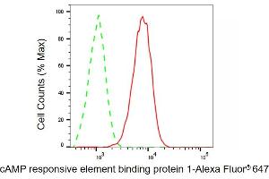 Flow cytometric analysis of cAMP responsive element binding protein 1 expression in C2C12 cells using cAMP responsive element binding protein 1 antibody (ABIN7797856), 1:1,000).