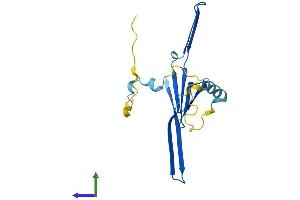 Protein Structure (PS) image for Titin-Cap (Telethonin) (TCAP) (AA 1-167) protein (His tag) (ABIN7562561)