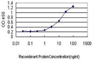 Detection limit for recombinant GST tagged MPZ is approximately 1ng/ml as a capture antibody. (MPZ 抗体  (AA 1-258))