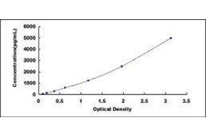 ADP-Ribosylation Factor-Like 15 (ARL15) ELISA Kit