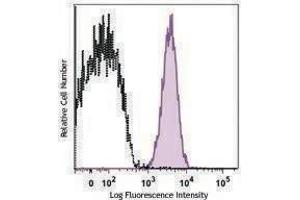 Flow Cytometry (FACS) image for anti-Integrin alpha M (ITGAM) antibody (APC-Cy7) (ABIN2660545) (CD11b 抗体  (APC-Cy7))