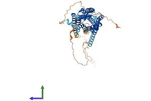 Protein Structure (PS) image for Cholecystokinin A Receptor (CCKAR) (AA 1-436) protein (His tag) (ABIN7562203)