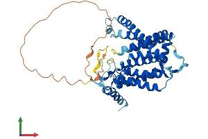 AlphaFold protein structure predicition of Mouse Recombinant Sgpp1 Protein, UniprotID Q9JI99