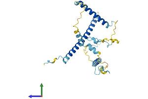AlphaFold protein structure predicition of Mouse Recombinant Leng1 Protein, UniprotID Q9DB98