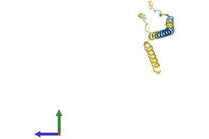 AlphaFold protein structure predicition of Human Recombinant BEX1 Protein, UniprotID Q9HBH7
