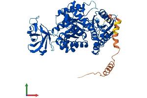 AlphaFold protein structure predicition of Mouse Recombinant Pklr Protein, UniprotID P53657 (PKLR Protein (AA 1-574) (His tag))