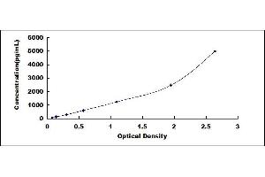 Typical standard curve (Endonuclease G ELISA 试剂盒)