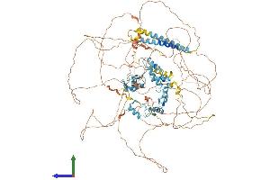 Protein Structure (PS) image for Sal-Like 4 (SALL4) (AA 1-1067) protein (His tag) (ABIN7564452)