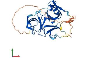Protein Structure (PS) image for Spindlin 1 (SPIN1) (AA 1-262) protein (His tag) (ABIN7546385)