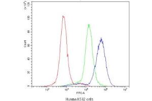 Flow cytometry testing of human K562 cells with RAB27A antibody at 1ug/10^6 cells (blocked with goat sera)