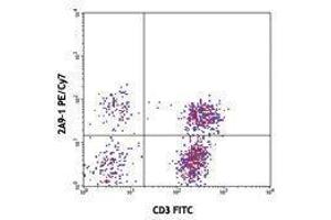 Flow Cytometry (FACS) image for anti-Chemokine (C-X3-C Motif) Receptor 1 (CX3CR1) antibody (PE-Cy7) (ABIN2659341) (CX3CR1 抗体  (PE-Cy7))