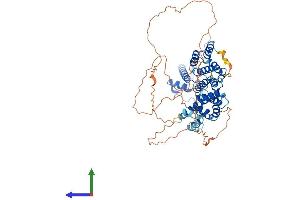 AlphaFold protein structure predicition of Human Recombinant TAF6L Protein, UniprotID Q9Y6J9