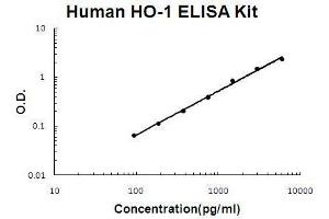 Human HO-1/HMOX1 PicoKine ELISA Kit standard curve