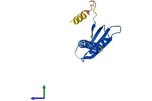Protein Structure (PS) image for Polymerase (RNA) I Polypeptide D, 16kDa (POLR1D) (AA 1-133) protein (His tag) (ABIN7556777)