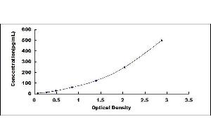 Typical standard curve (Netrin 4 ELISA 试剂盒)
