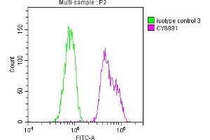 Overlay histogram showing Hela cells stained with ABIN7127374 (red line) at 1:50. (Recombinant BUB1B 抗体)