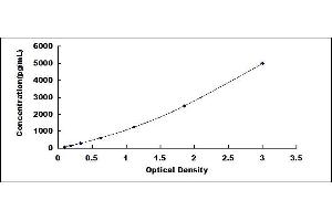 Typical standard curve (VGLL1 ELISA 试剂盒)