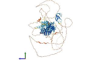 Protein Structure (PS) image for Kinase Suppressor of Ras 1 (KSR1) (AA 1-873) protein (His tag) (ABIN7563898)