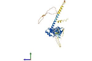 AlphaFold protein structure predicition of Mouse Recombinant Lmx1b Protein, UniprotID O88609
