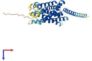 G Protein-Coupled Receptor 18 (GPR18) (AA 1-331) protein (His tag)