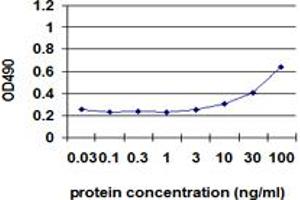 Sandwich ELISA detection sensitivity ranging from 3x to 100 ng/mL. (IL1B (人) Matched Antibody Pair)