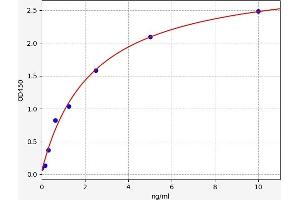 Angiotensin II Type-1 Receptor ELISA 试剂盒