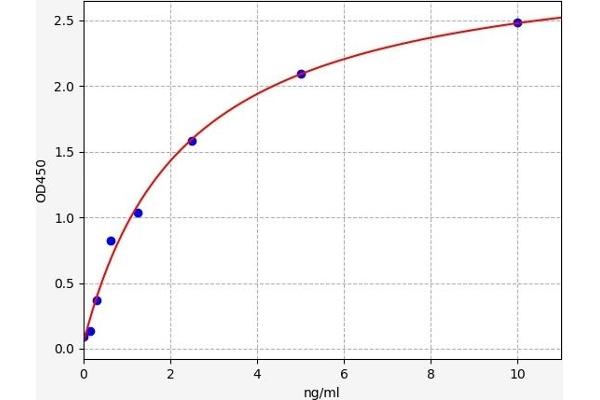 Angiotensin II Type-1 Receptor ELISA 试剂盒