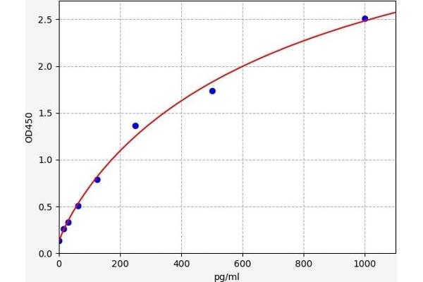 Orexin ELISA 试剂盒