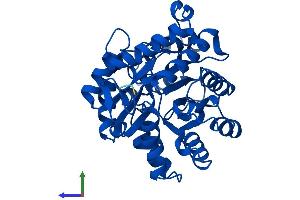 Protein Structure (PS) image for Phosphotriesterase Related (PTER) (AA 1-349) protein (His tag) (ABIN7551057)