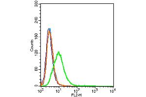293T cells probed with CD59 Polyclonal Antibody, unconjugated  at 1:100 dilution for 30 minutes compared to control cells (blue) and isotype control (orange) (CD59 抗体  (AA 52-100))