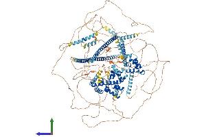 Protein Structure (PS) image for Cut-Like Homeobox 2 (CUX2) (AA 1-1426) protein (His tag) (ABIN7563521)