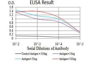 Black line: Control Antigen (100 ng),Purple line: Antigen (10 ng), Blue line: Antigen (50 ng), Red line:Antigen (100 ng) (TWIST2 抗体  (AA 1-160))