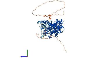 AlphaFold protein structure predicition of Human Recombinant MUTYH Protein, UniprotID Q9UIF7
