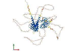 AlphaFold protein structure predicition of Mouse Recombinant Sh2b2 Protein, UniprotID Q9JID9