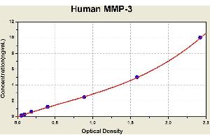 Matrix Metallopeptidase 3 (Stromelysin 1, Progelatinase) (MMP3) ELISA Kit