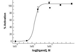 Galanin (GAL) peptide