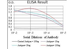 Fig. (Epsin 1 抗体  (AA 106-254))