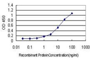 Detection limit for recombinant GST tagged LGMN is approximately 0. (LGMN 抗体  (AA 1-433))