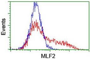 Flow Cytometry (FACS) image for anti-Myeloid Leukemia Factor 2 (MLF2) antibody (ABIN1499501) (MLF2 抗体)