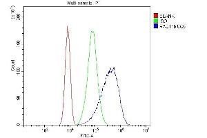 Flow Cytometry analysis of Caco-2 cells using anti-RAB11B antibody (ABIN7602766).