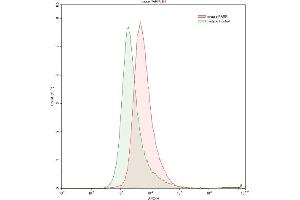 Detection of PARP in K562 human chronic myelogenous leukemia cell line using Polyclonal Antibody to Poly ADP Ribose Polymerase (PARP) (PARP1 抗体  (AA 661-881))
