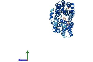 Protein Structure (PS) image for Solute Carrier Family 16, Member 13 (Monocarboxylic Acid Transporter 13) (SLC16A13) (AA 1-426) protein (His tag) (ABIN7549455)
